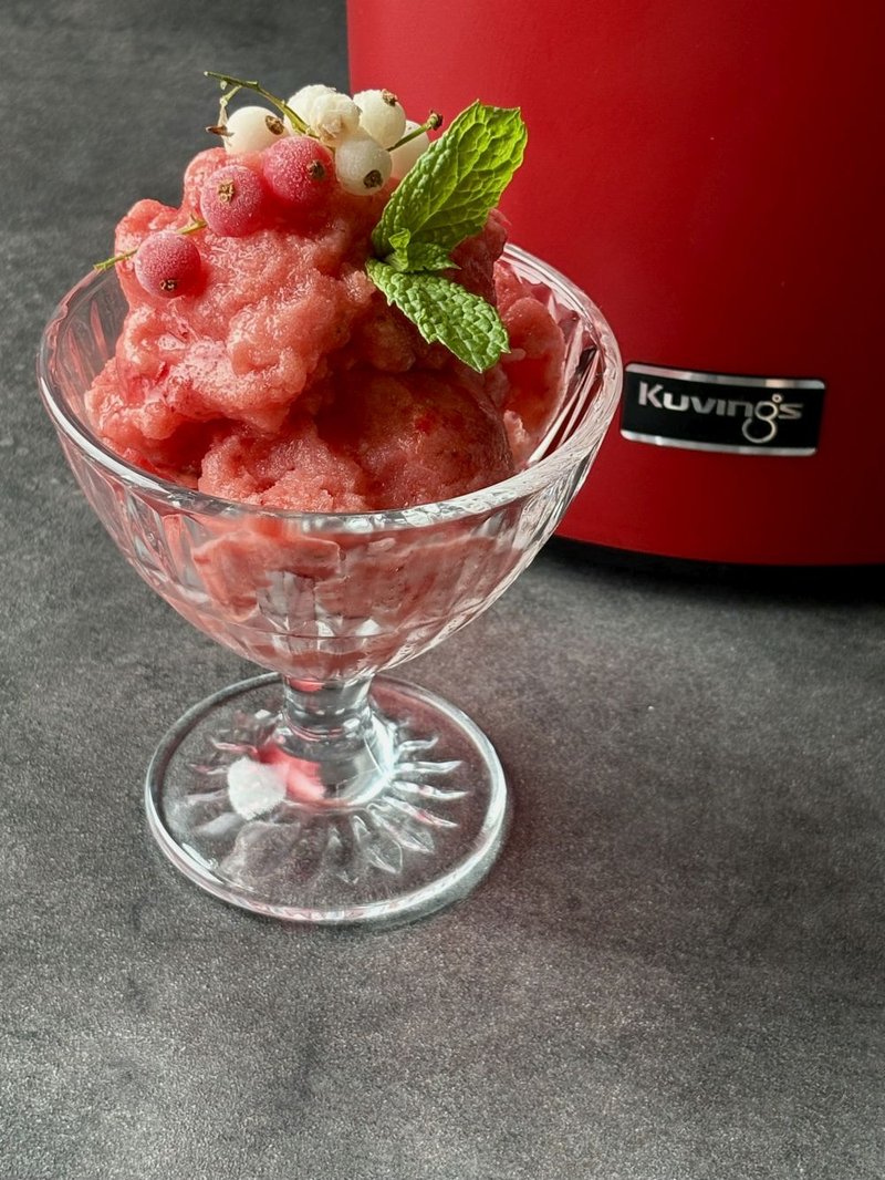 the vegan plant lady sorbet wakacyjny1